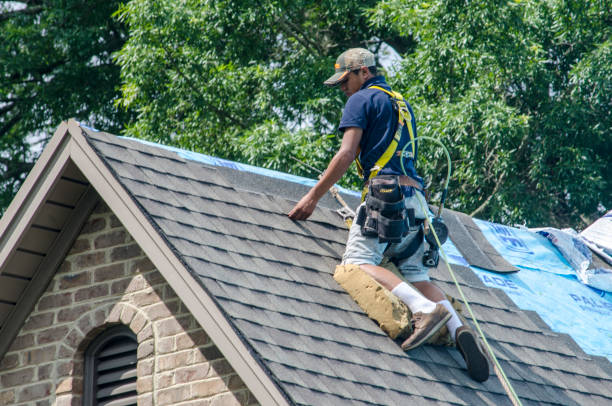 Best Roof Leak Repair  in Orlinda, TN